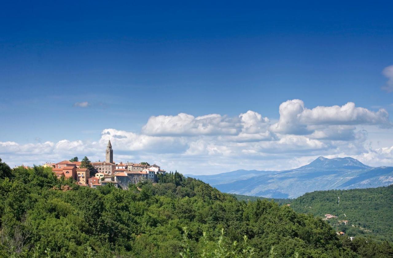 Roinizza In Prtlog Villa Labin  Exterior photo