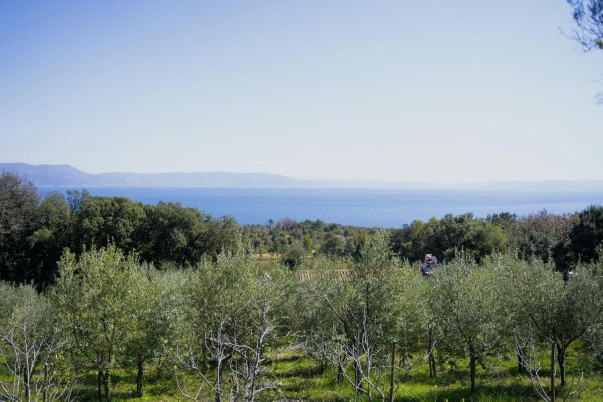 Roinizza In Prtlog Villa Labin  Exterior photo