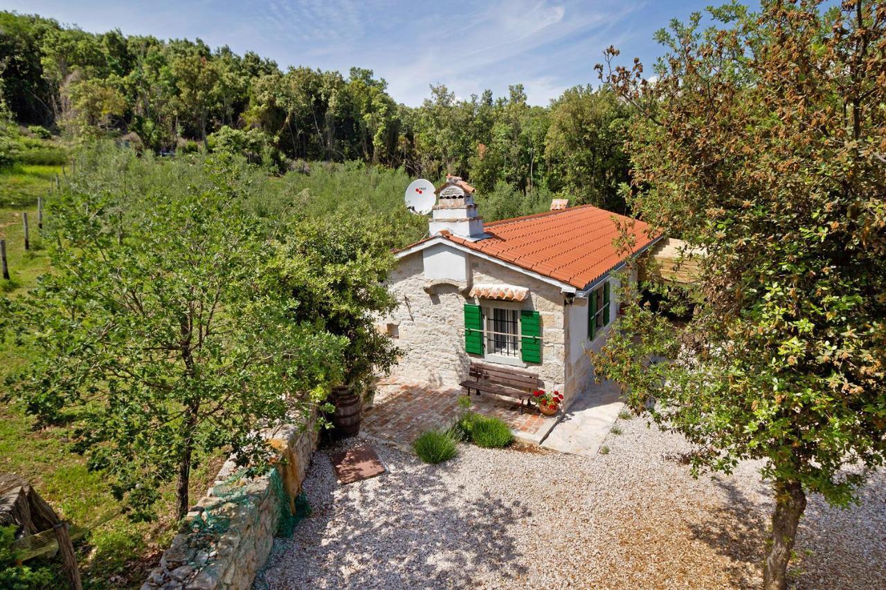 Roinizza In Prtlog Villa Labin  Exterior photo