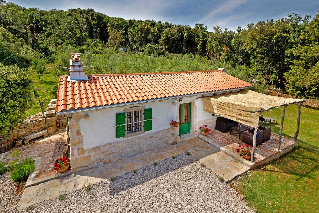 Roinizza In Prtlog Villa Labin  Exterior photo