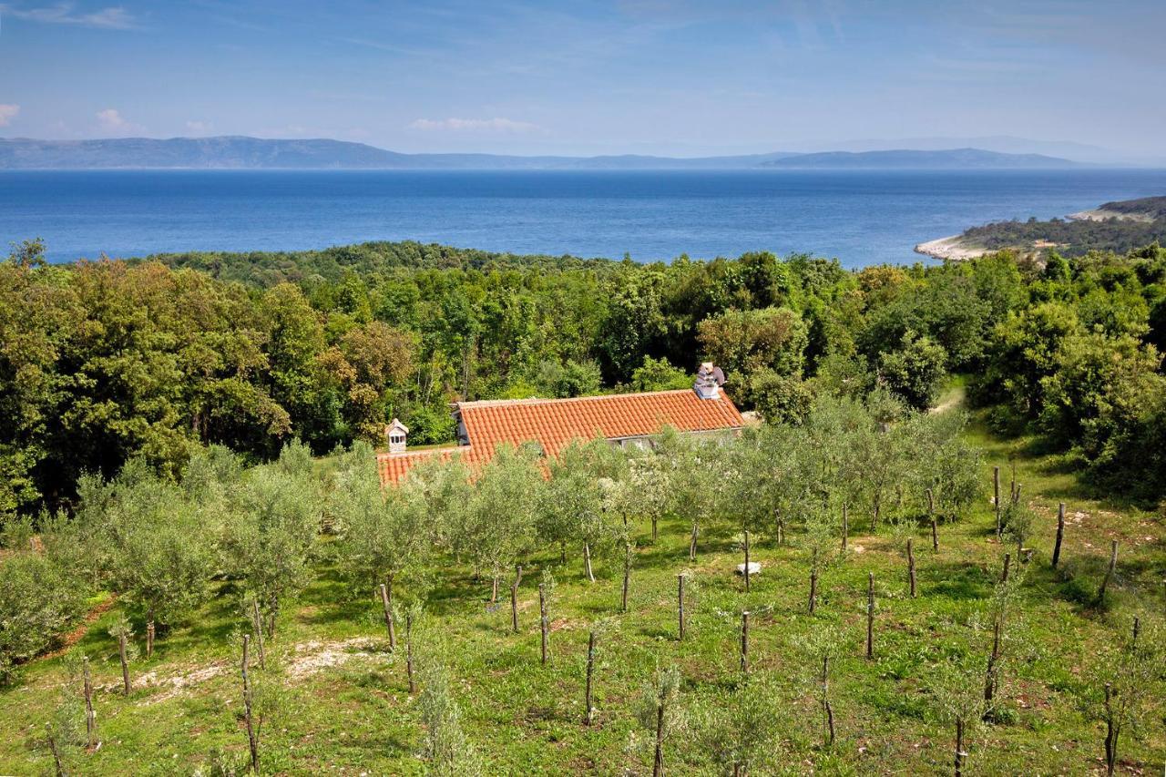 Roinizza In Prtlog Villa Labin  Exterior photo